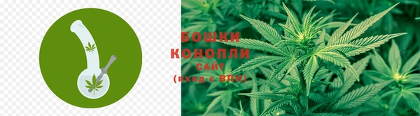 спайс Богданович