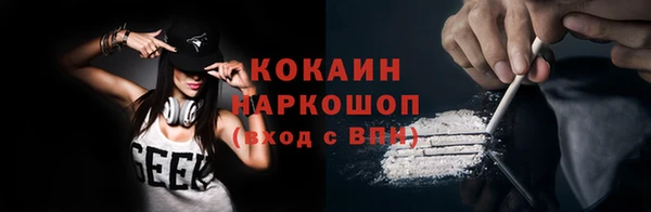 спайс Богданович