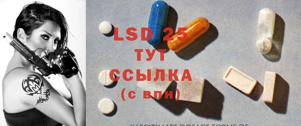 спайс Богданович